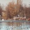 Seehaus im Englischen Garten - München