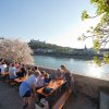 Biergarten &quot;Alter Kranen&quot;