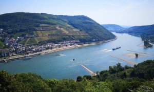 Schweizerhaus, der Biergarten mit Rheinblick